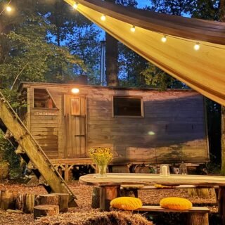 Wayford Woods easy circular walk, 1.1 miles