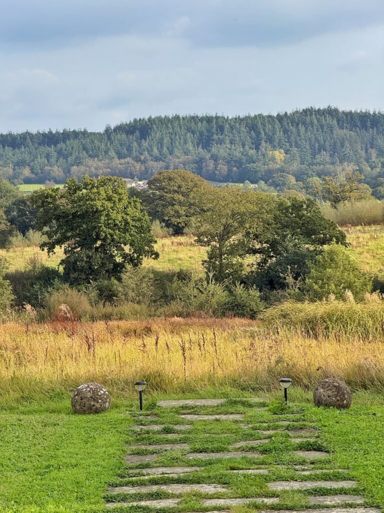 42 Acres wellbeing retreat countryside views