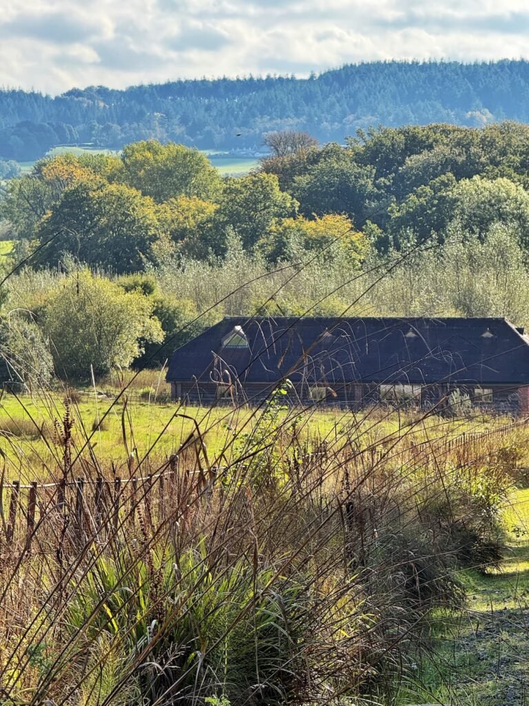 42 Acres wellbeing retreat, yoga barn