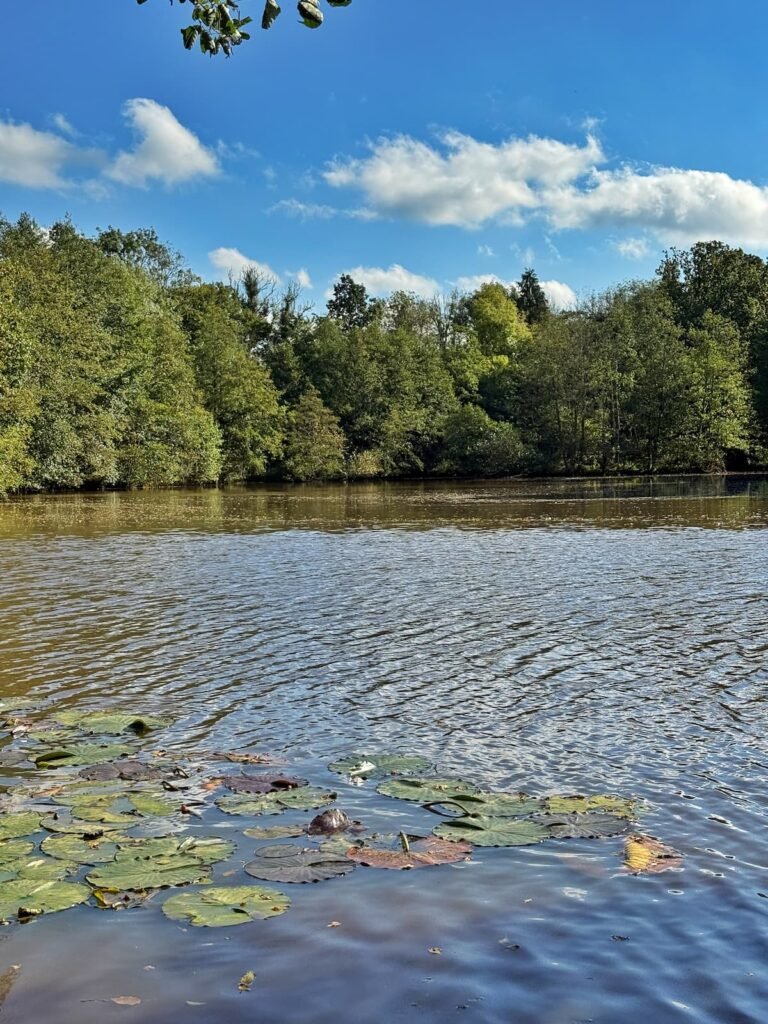 42 Acres wellbeing retreat somerset lake