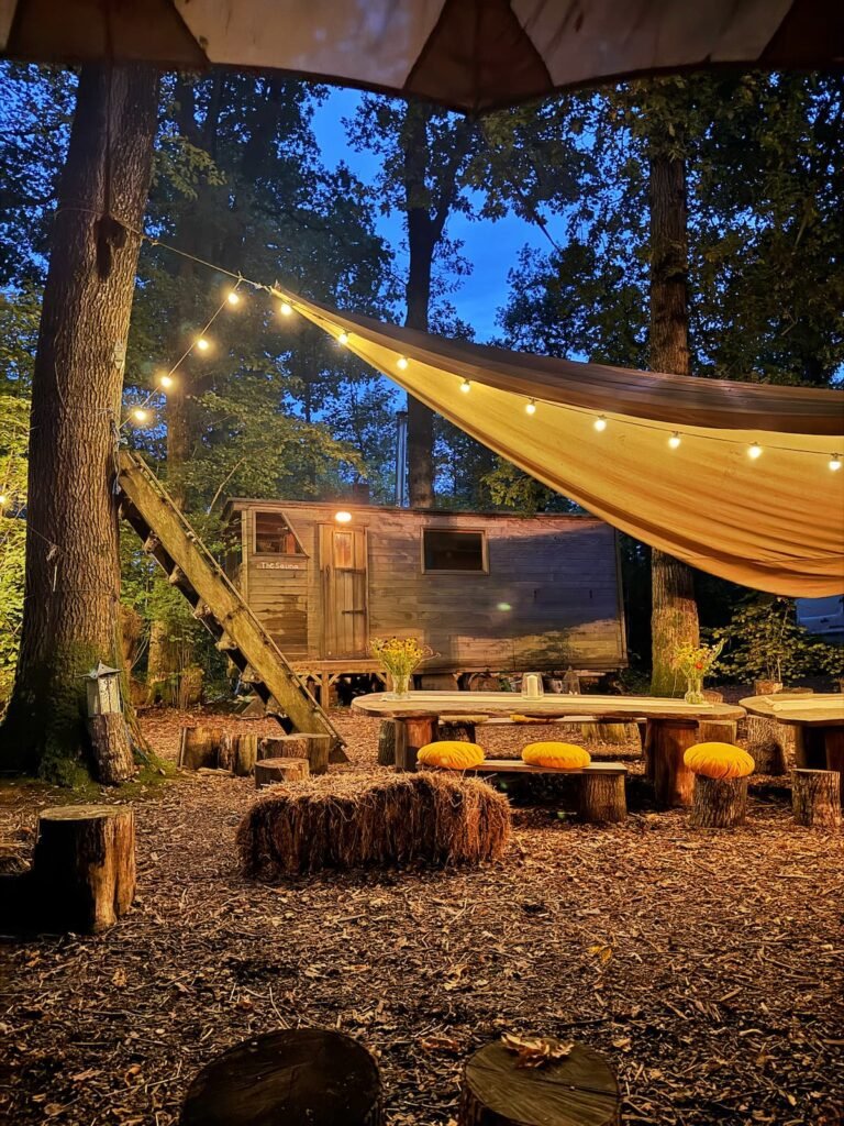 Dinner in the forest, 42 Acres, Frome