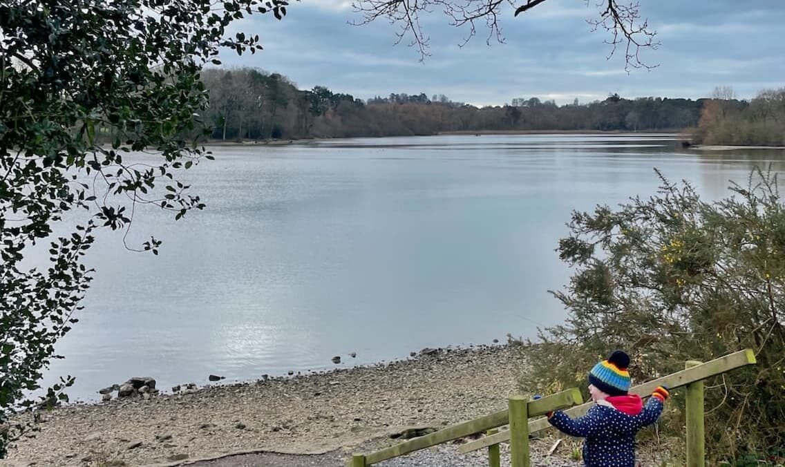 Chard reservoir circular walk, 2.5 miles