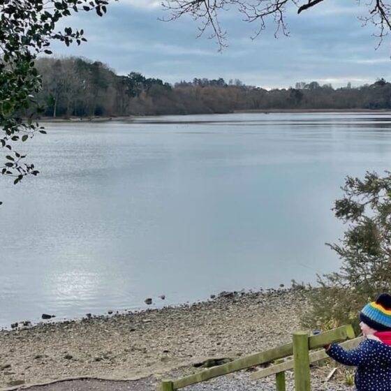 Chard reservoir circular walk, 2.5 miles