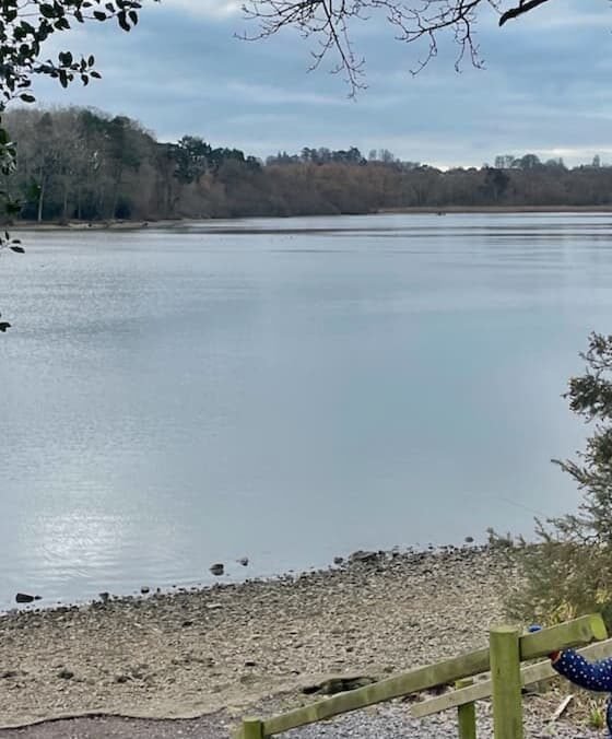 Chard reservoir circular walk, 2.5 miles