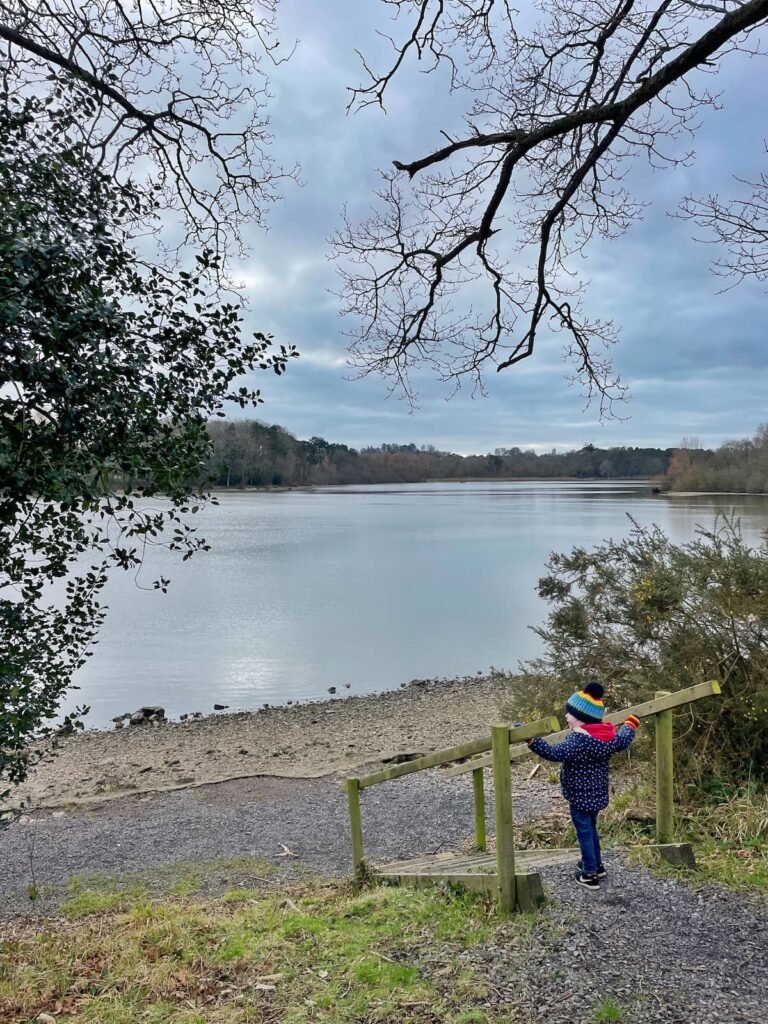 Chard Reservoir, Somerset