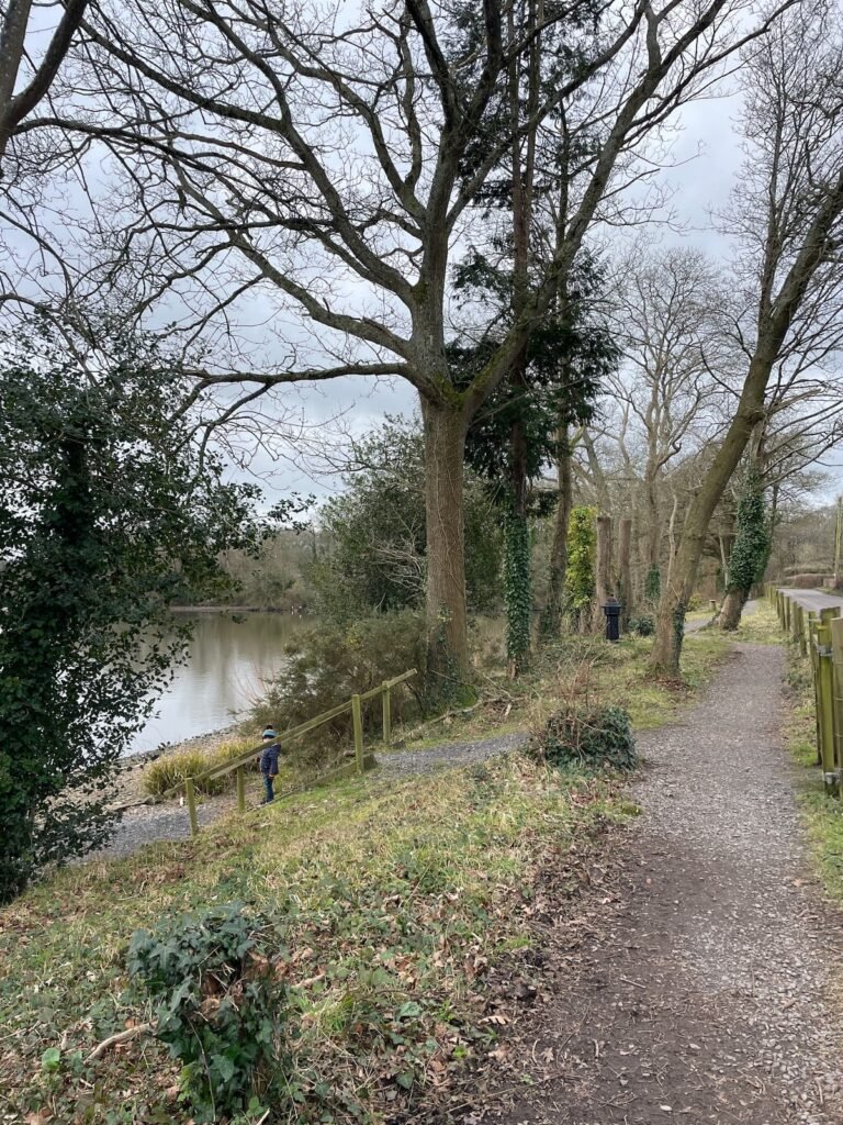 Chard Reservoir, Somerset