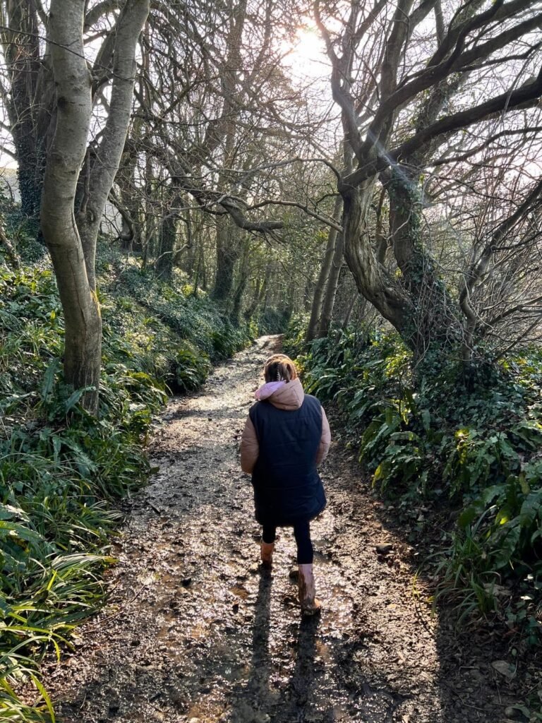 Corton Denham Ridge Walk Somerset