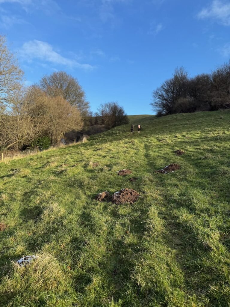 Corton Denham Ridge Walk Somerset