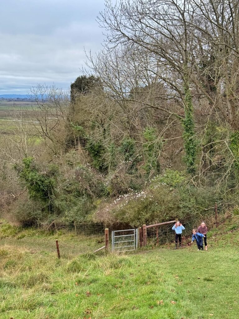 Field and gate below Burton Pynsent monument