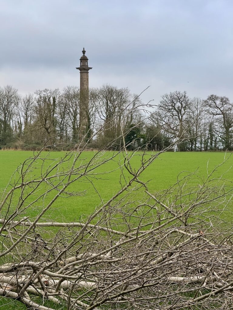 Firehouse to Burton Pynsent monument footpath