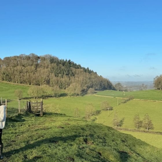 Ham Hill Country Park circular walk, via St Michael’s Hill 2.3 miles