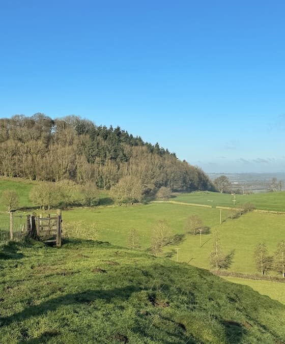 Ham Hill Country Park circular walk, via St Michael’s Hill 2.3 miles