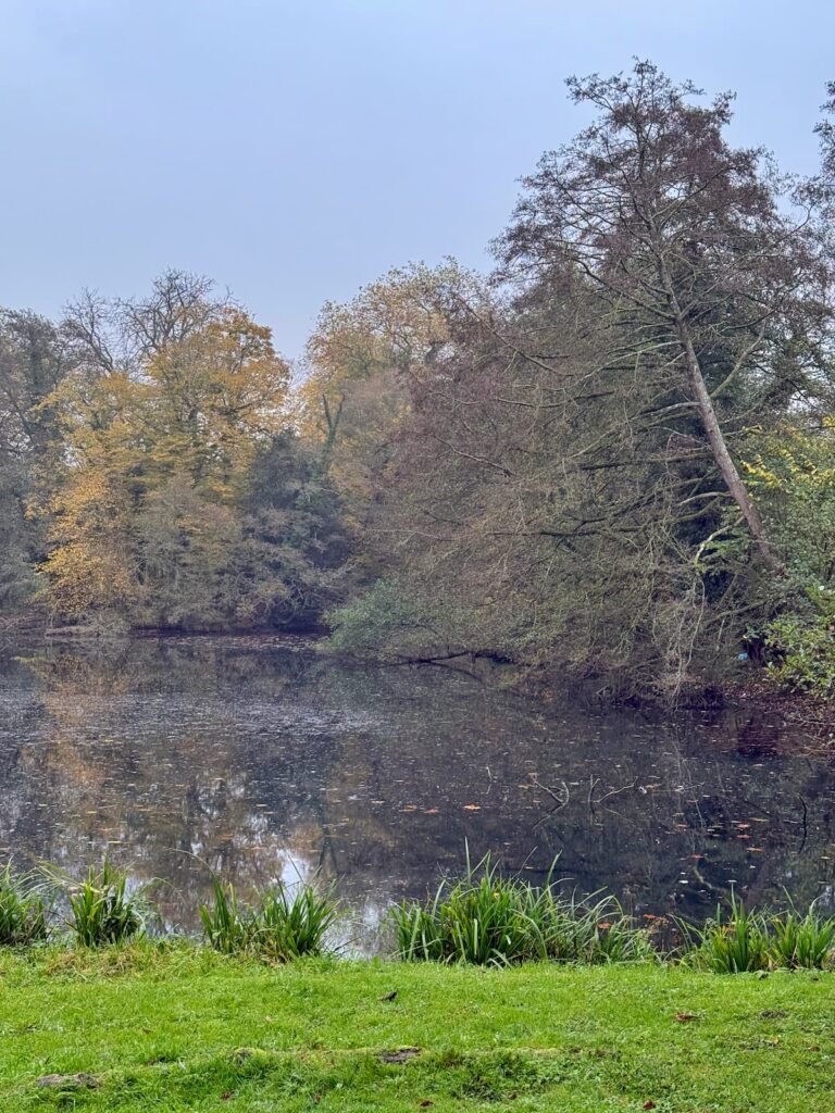 Lake views from Orchardleigh island church