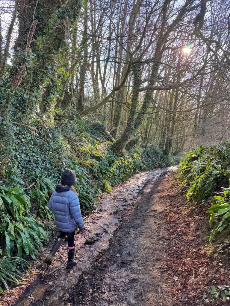 Corton Denham Ridge Walk Somerset