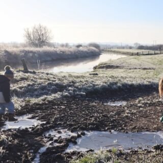 23 Stately homes in Somerset you need to visit