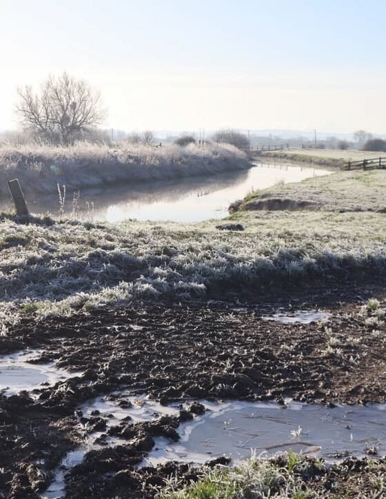 River Parrett Trail Langport walk 3.4 miles (circular)