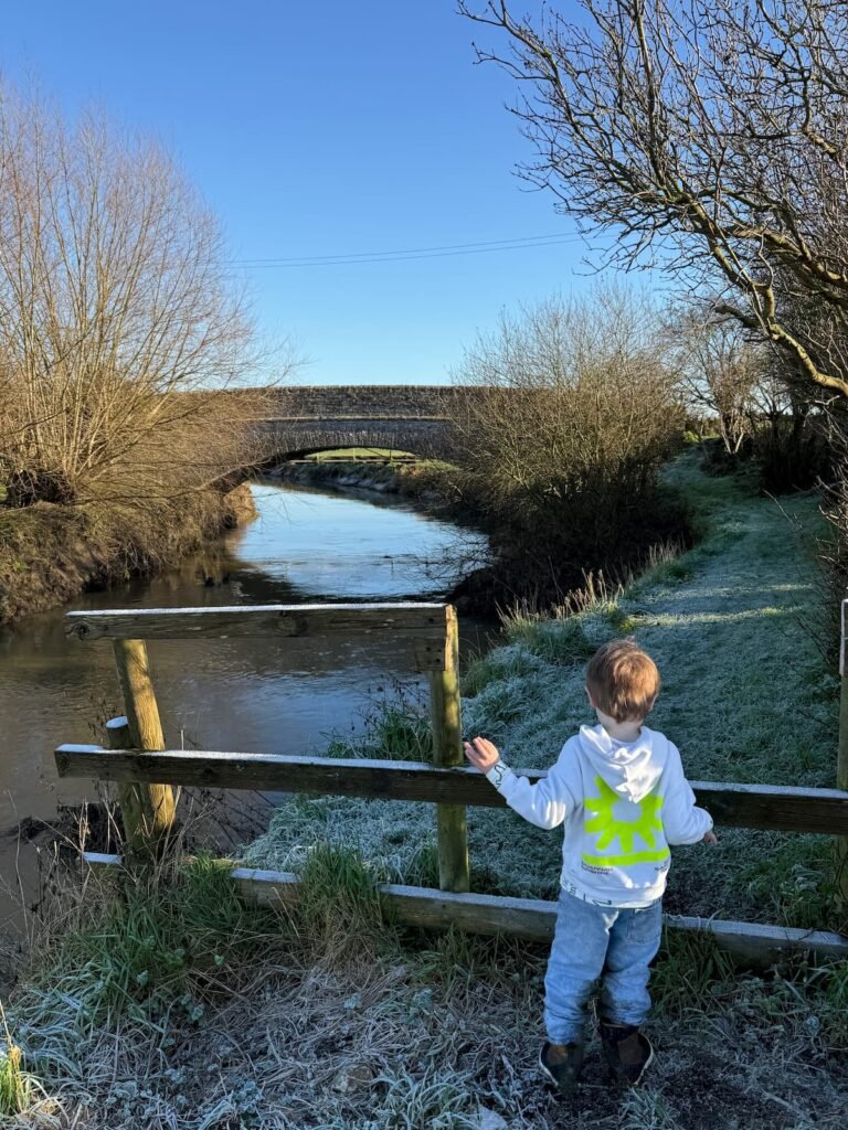 Bicknell's Bridge, River Parrett Trail, Langport