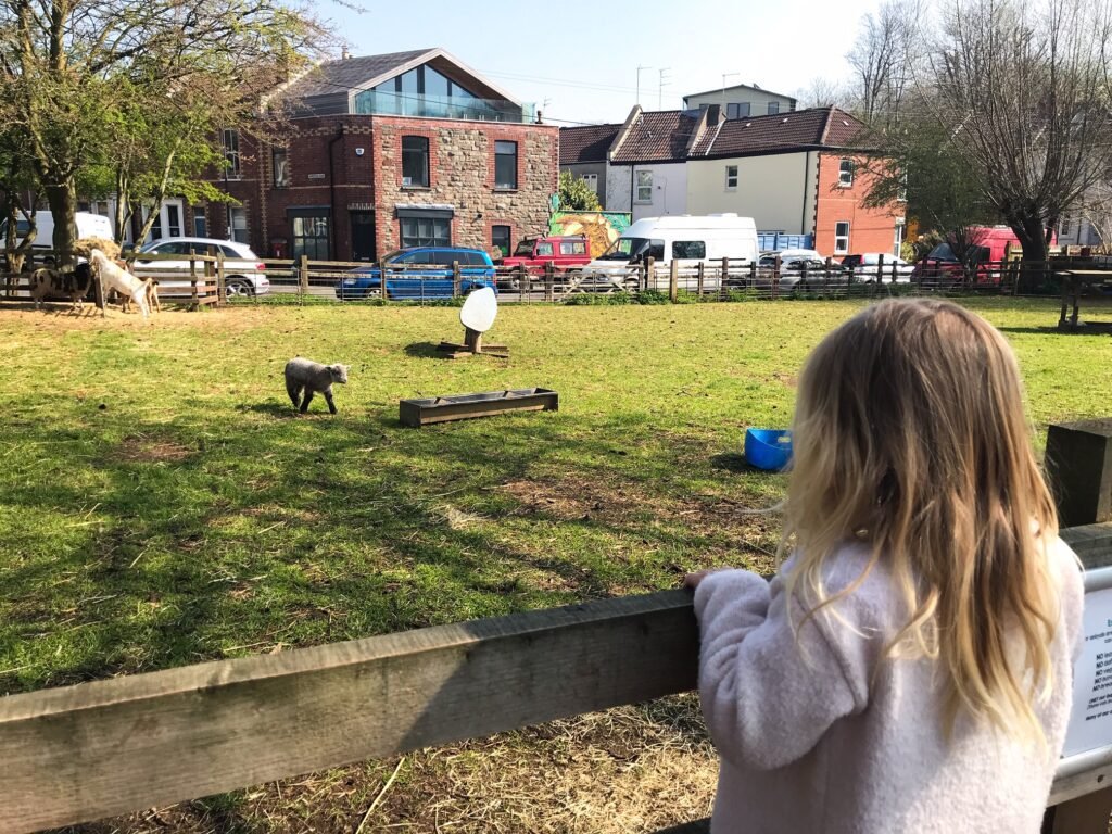 St Werburgh's city farm Bristol