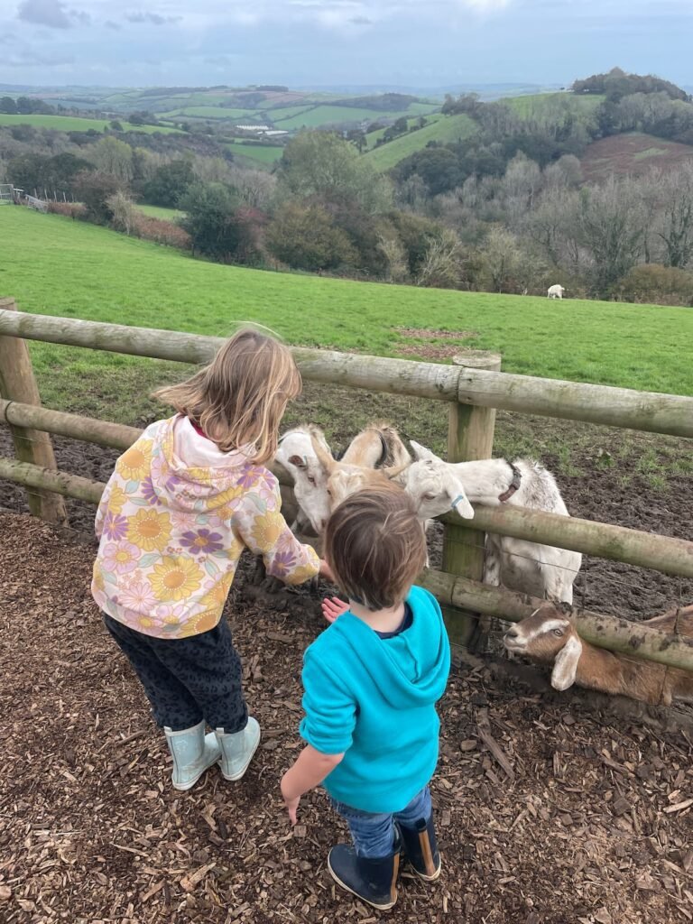 Pennywell Farm, Buckfastleigh, Devon