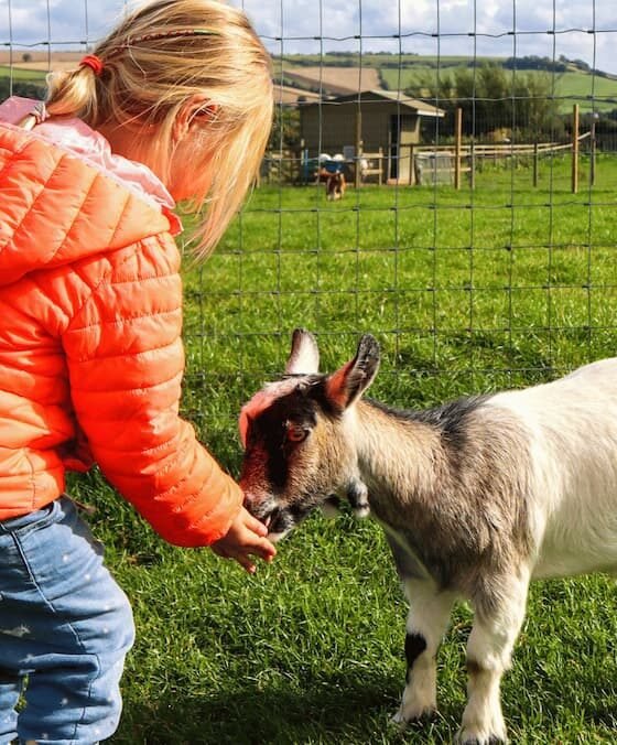 Meet the beasties: animal days out in Somerset