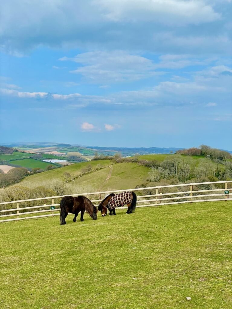 Pennywell Farm, Buckfastleigh, Devon