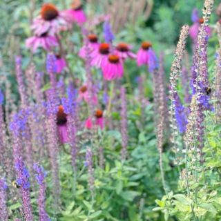 REVIEW: Combe Head House, cottage holidays Somerset