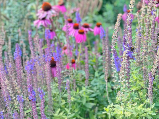 Things to do for Mother’s Day in Somerset 2026