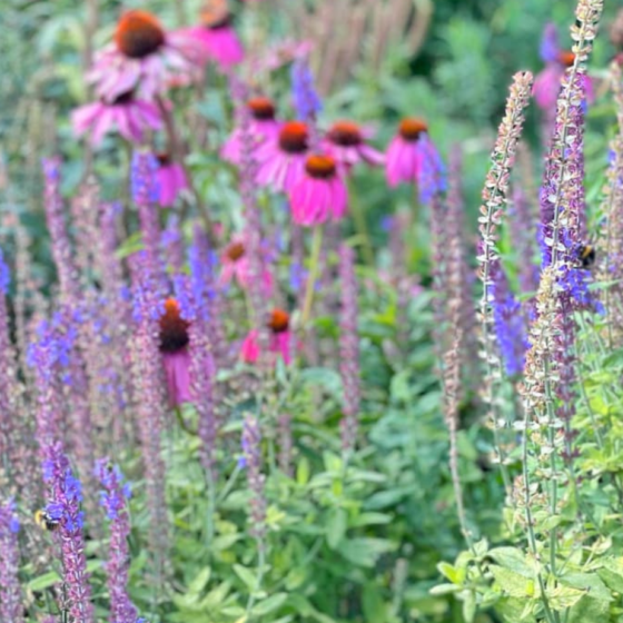 Things to do for Mother’s Day in Somerset 2026