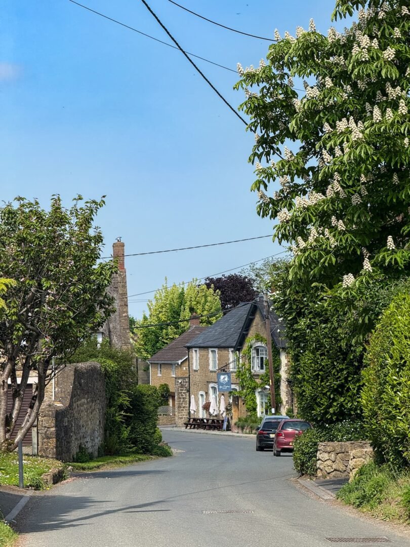 Barrington Boar, South Somerset pub