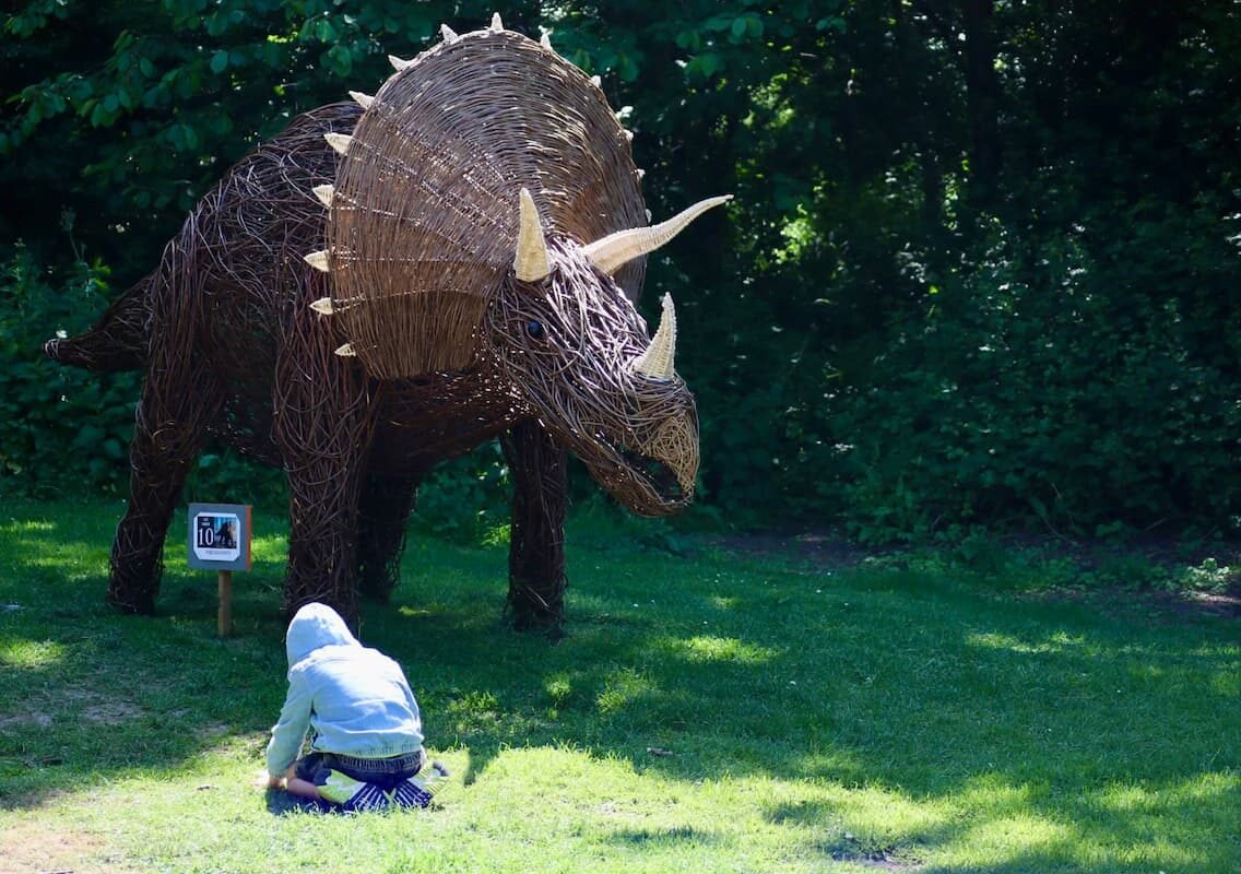 WHAT’S ON May half term holidays Somerset