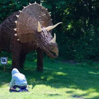 Best Somerset gastropubs