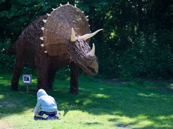 WHAT’S ON May half term holidays Somerset