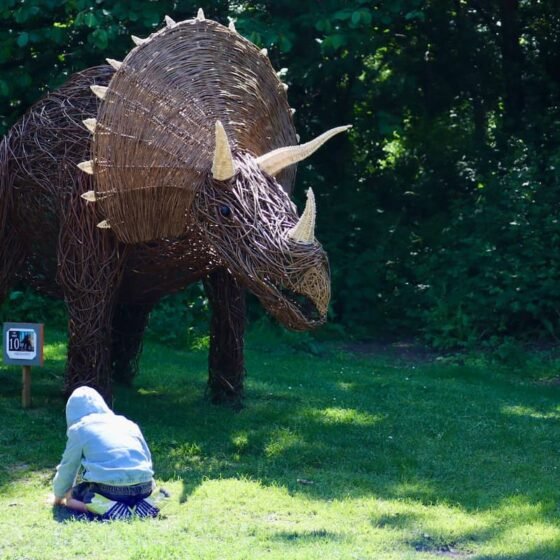 Things to Do in Somerset May Half Term 2026: Family Days Out