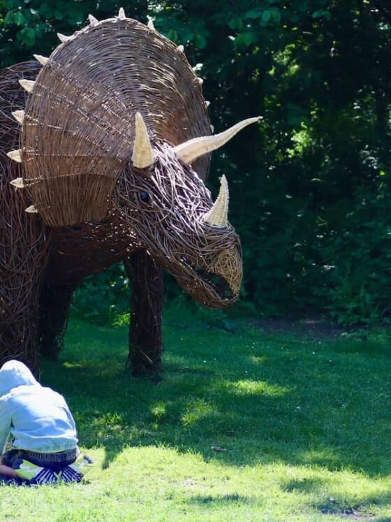 WHAT’S ON May half term holidays Somerset