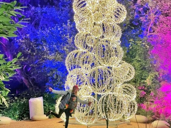 The best Christmas lights trails to visit in Somerset