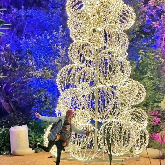 The best Christmas lights trails to visit in Somerset