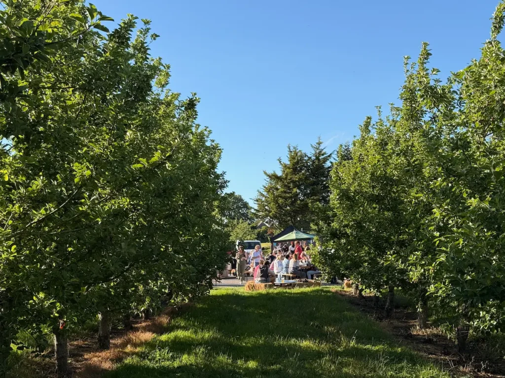 Harry's cider farm somerset