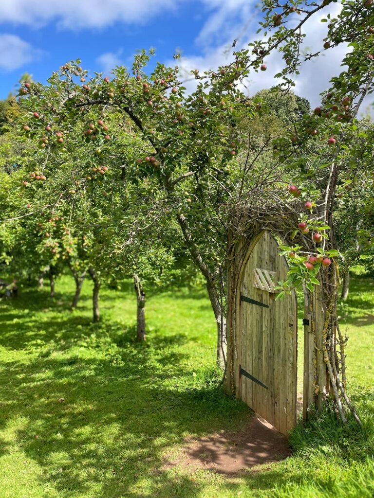 Torre Cider Farm Somerset
