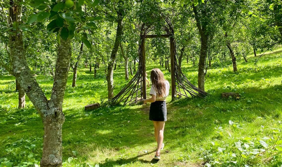 Celebrate apple season in Somerset: cider & orchard events