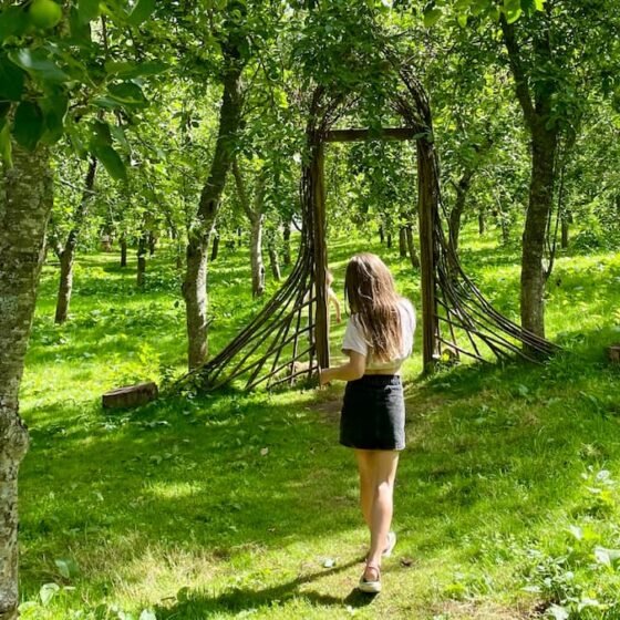 Celebrate apple season in Somerset: cider & orchard events