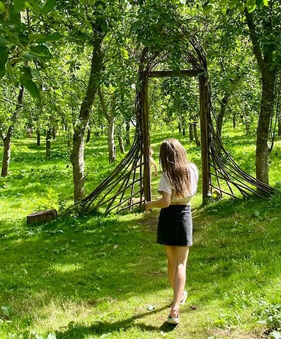 Celebrate apple season in Somerset: cider & orchard events