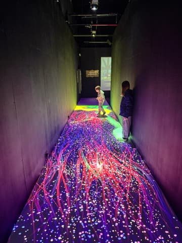 Enchanted Christmas Planet Ice Bristol