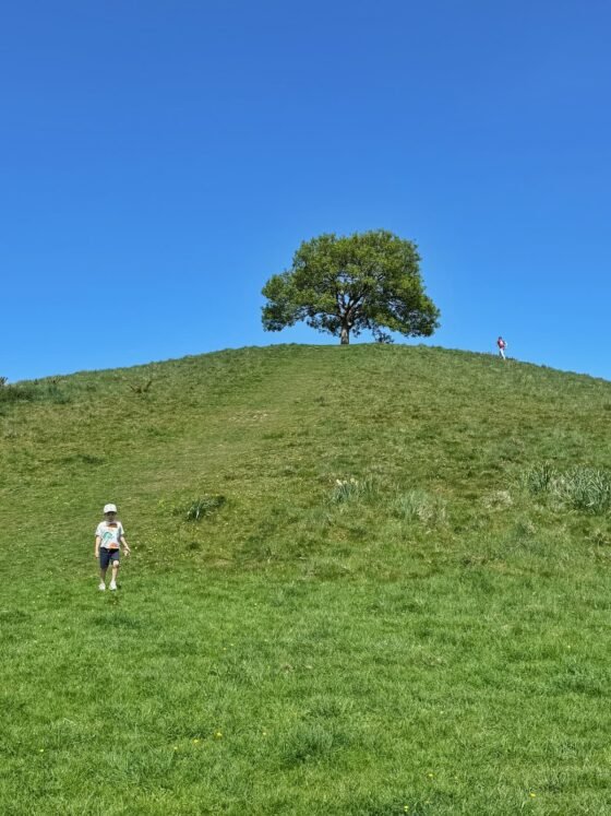 Somerset Early May Bank Holiday 2026: Best Things To Do