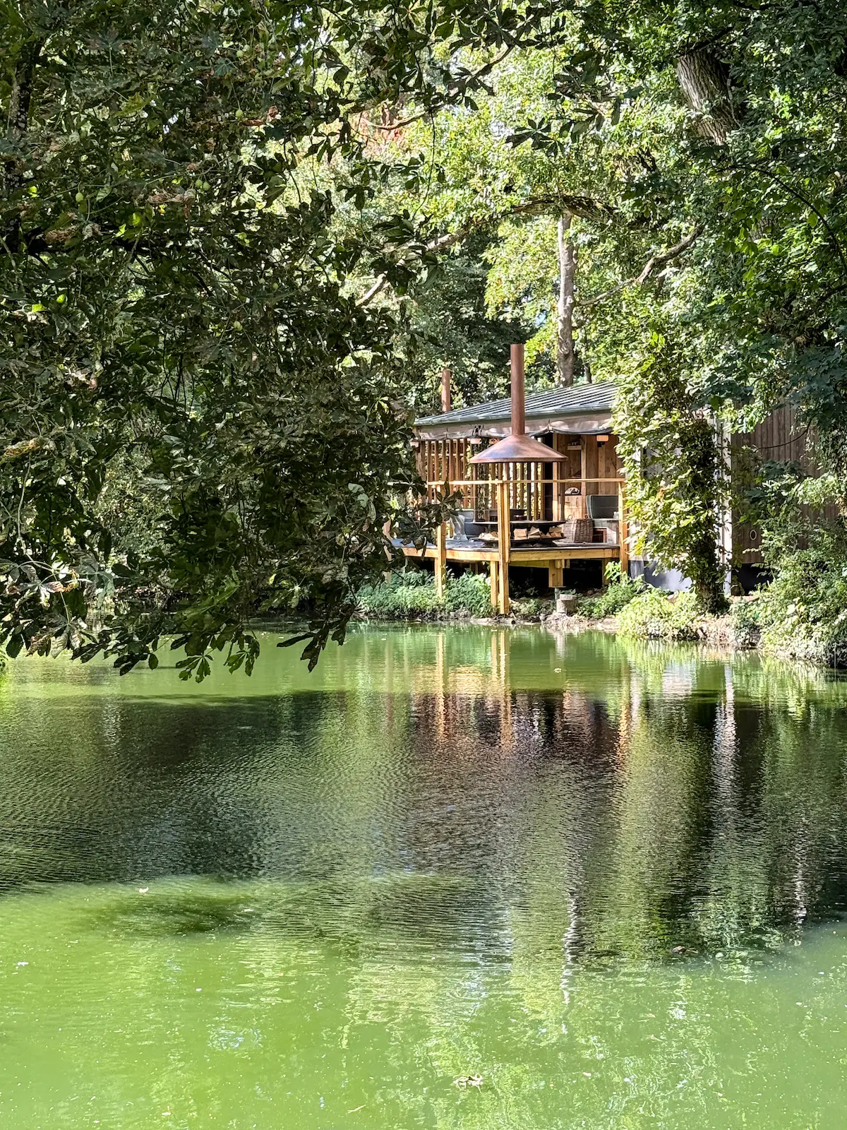 Babington house Lazy Forest spa somerset
